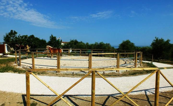 Agriturismo La Casa Della Lavanda - Il Rustico Marina di Montemarciano Εξωτερικό φωτογραφία